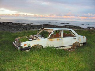 Autowrack mit Gras im Motorraum.