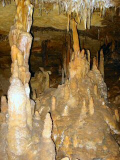 Victoria Fossil Cave