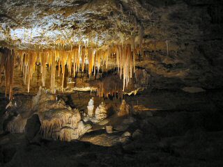 Victoria Fossil Cave