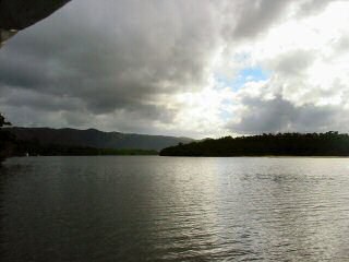 Daintree River