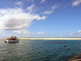 Michaelmas Cay