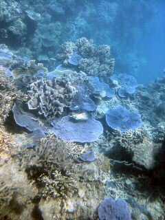 Great Barrier Reef